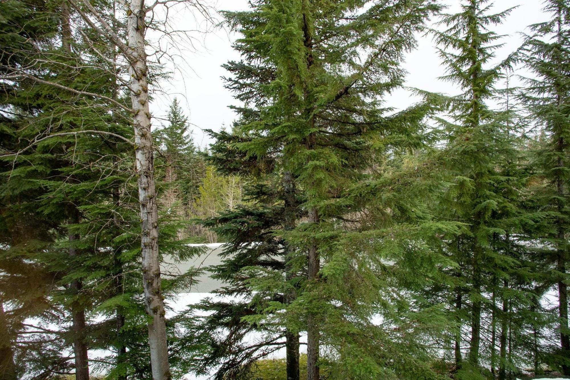 Forest Trails 9 - Walk Or Shuttle To Skiing, Fireplace, Private Garage, Free Parking Ferienhaus Whistler